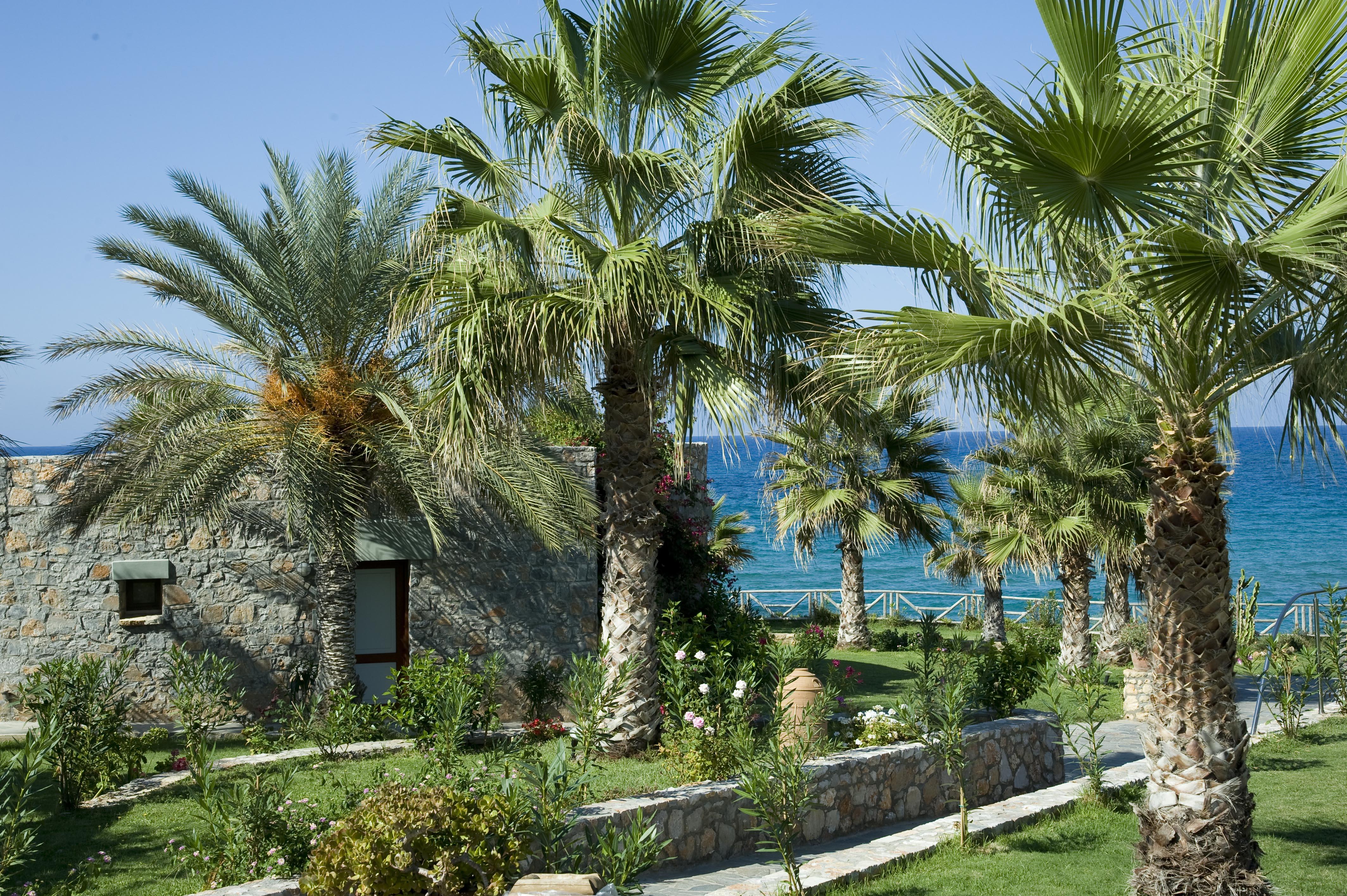 Ikaros Beach, Luxury Resort & Spa - Adults Only Malia  Ngoại thất bức ảnh